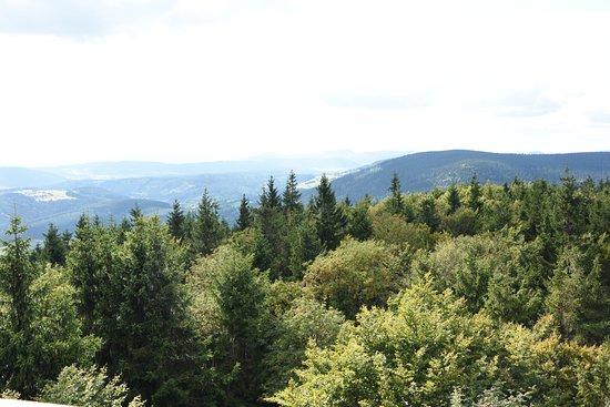 Rezerwat przyrody Bukowa Kalenica